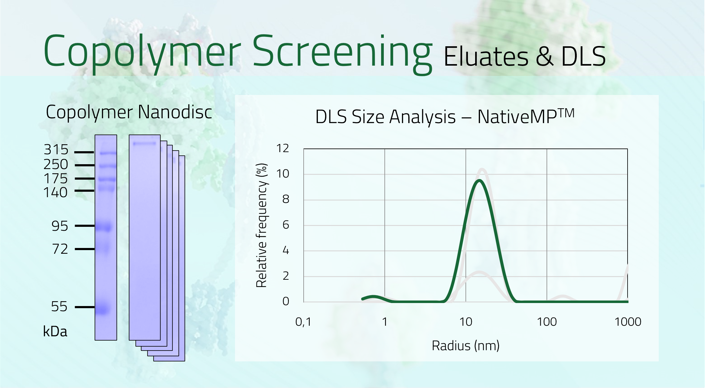 ABCA12 Eluate+DLS